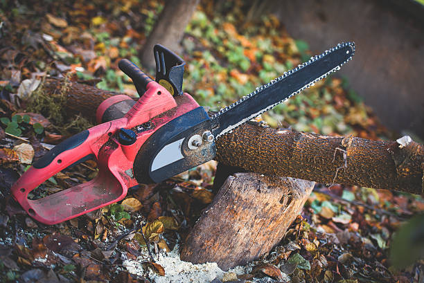 Best Commercial Tree Services  in Menard, TX